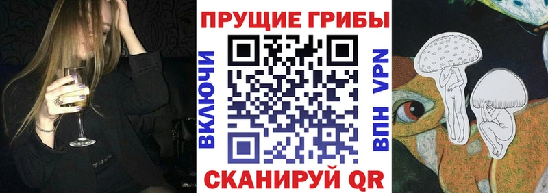 Купить  Голицыно  Псилоцибиновые грибы Cubensis 